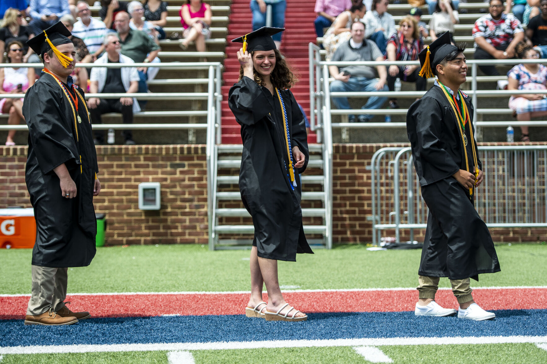 Altavista grad